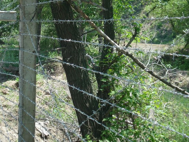 Barbed Wire
