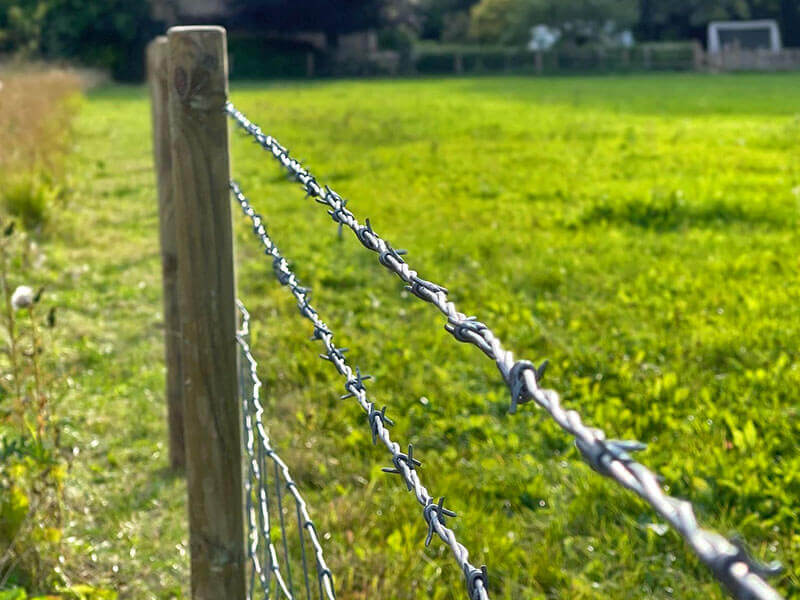 Barbed Wire