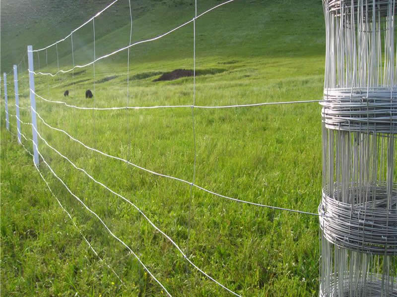 Field Fence