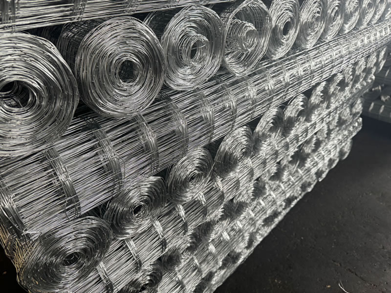 Galvanized Welded Wire Mesh