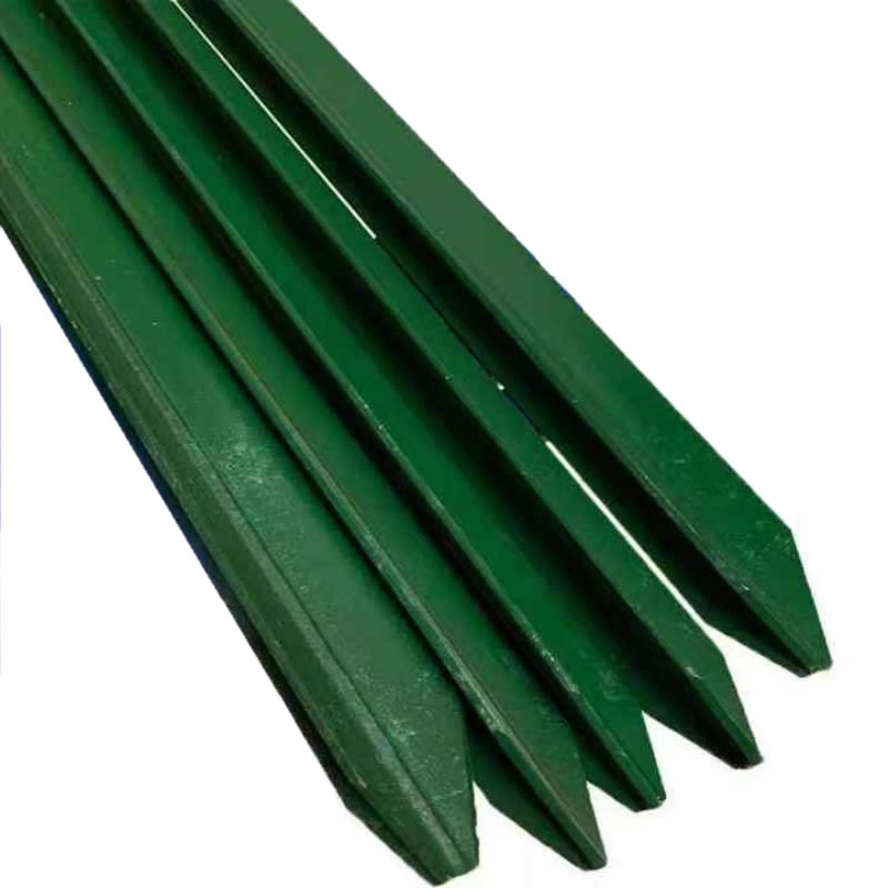 Green Star Picket