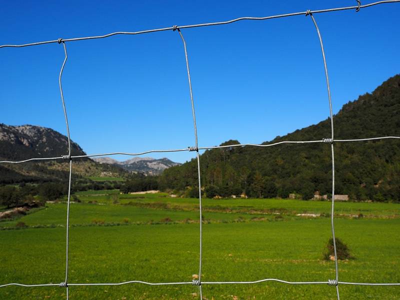 Farm Fence