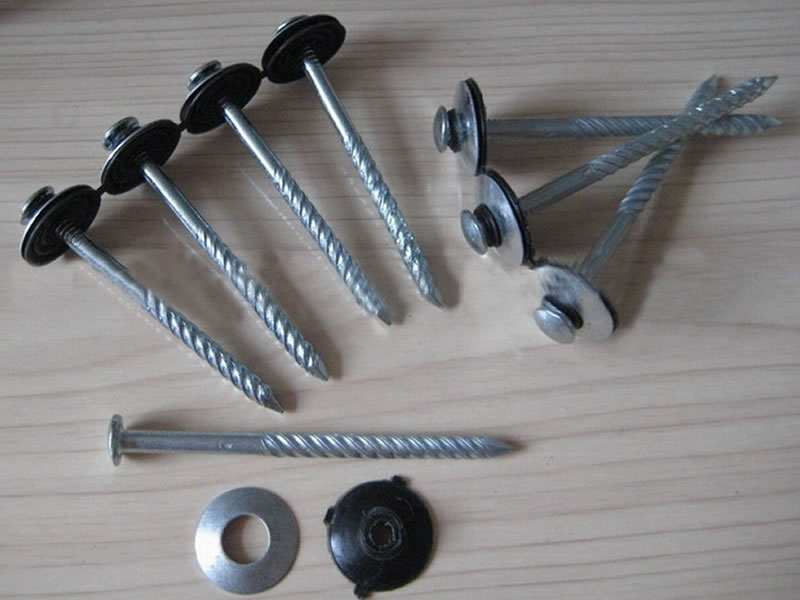 Roofing Nails