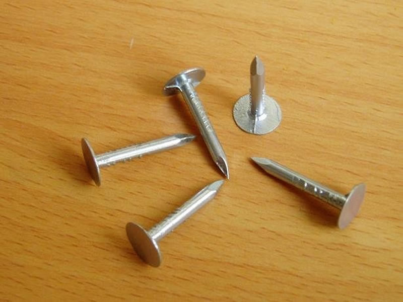 Roofing Nails