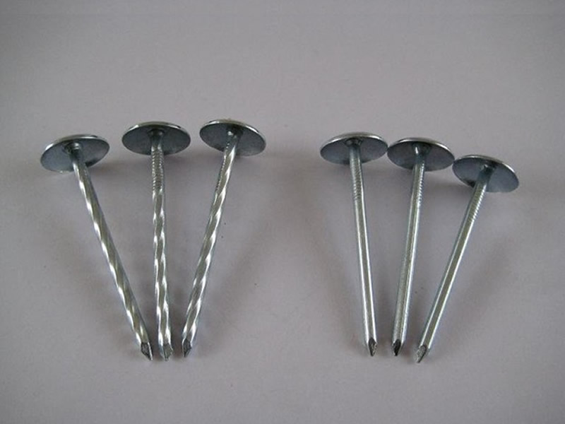 Roofing Nails