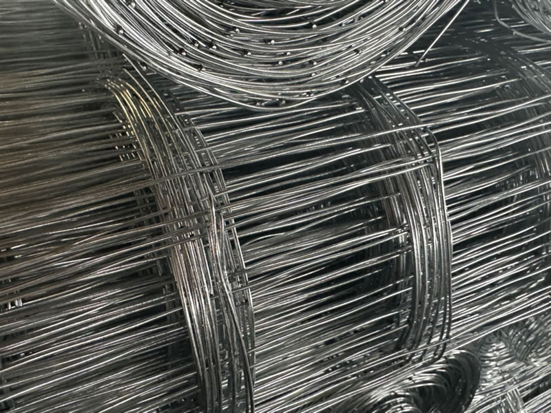 Welded Wire Mesh